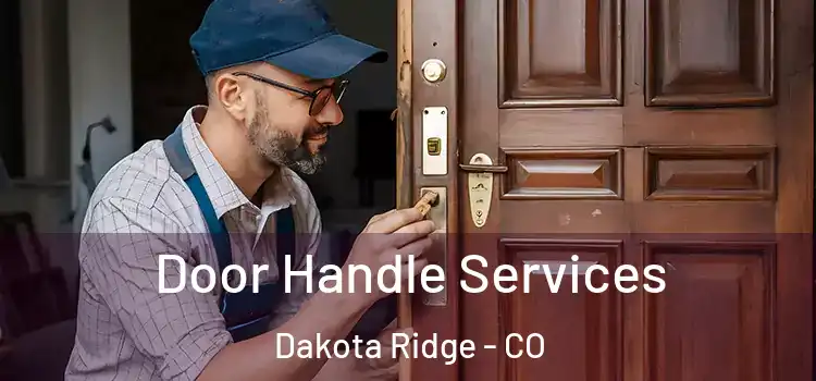 Door Handle Services Dakota Ridge - CO