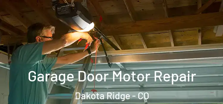  Garage Door Motor Repair Dakota Ridge - CO