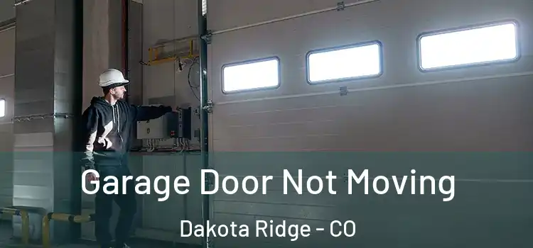  Garage Door Not Moving Dakota Ridge - CO