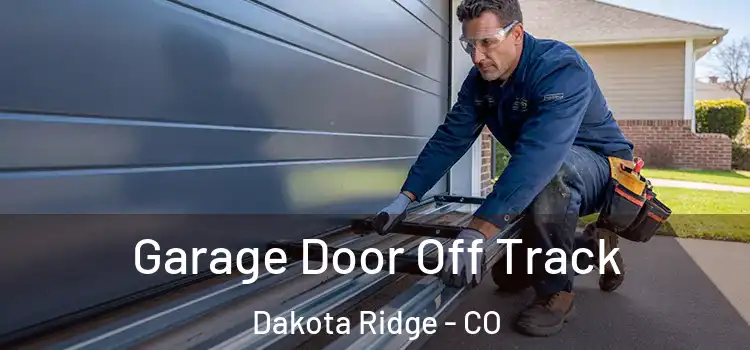  Garage Door Off Track Dakota Ridge - CO
