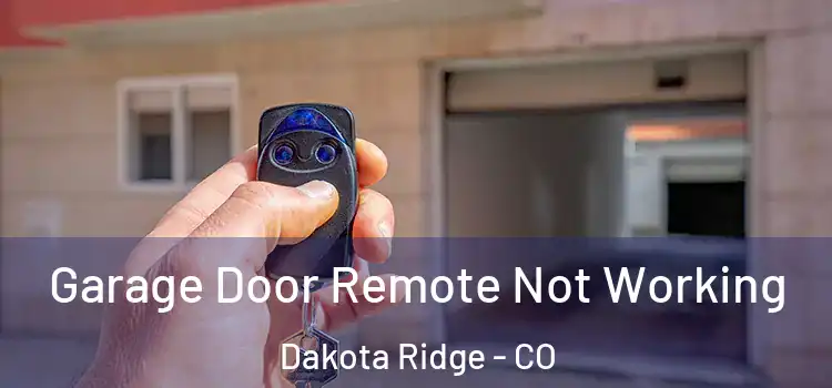  Garage Door Remote Not Working Dakota Ridge - CO