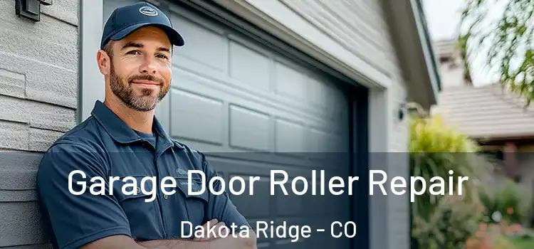 Garage Door Roller Repair Dakota Ridge - CO