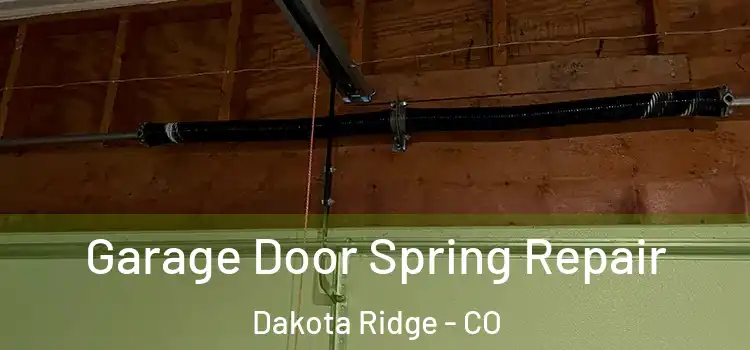  Garage Door Spring Repair Dakota Ridge - CO