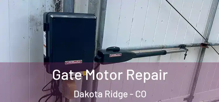 Gate Motor Repair Dakota Ridge - CO
