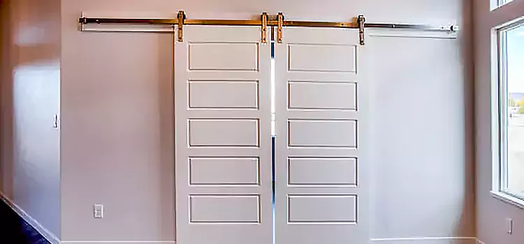 Glass Barn Door with Installation Hardware Kit Dakota Ridge