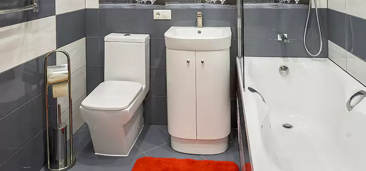 Hansgrohe Shaving Mirror Dakota Ridge