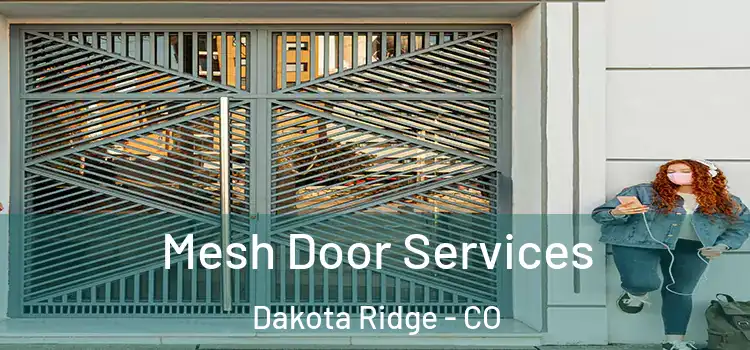 Mesh Door Services Dakota Ridge - CO