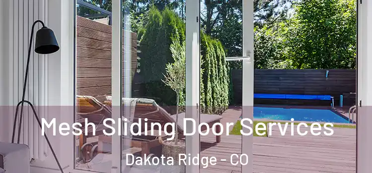 Mesh Sliding Door Services Dakota Ridge - CO