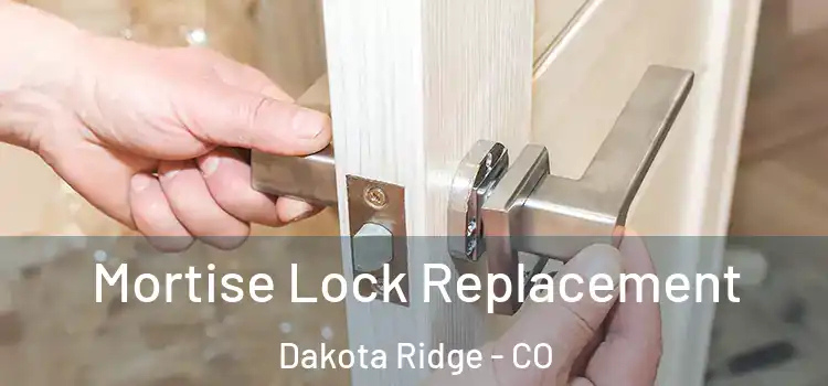 Mortise Lock Replacement Dakota Ridge - CO