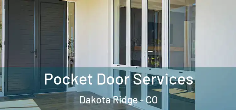 Pocket Door Services Dakota Ridge - CO