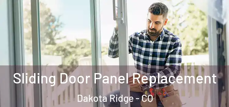  Sliding Door Panel Replacement Dakota Ridge - CO