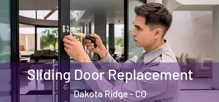 Sliding Door Replacement Dakota Ridge - CO