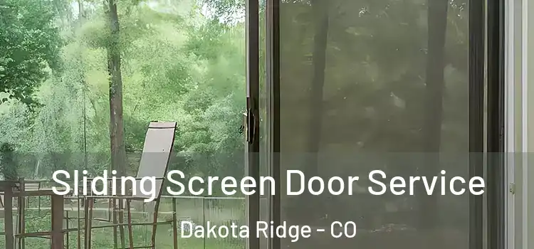 Sliding Screen Door Service Dakota Ridge - CO
