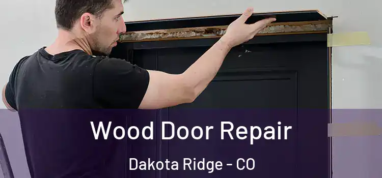  Wood Door Repair Dakota Ridge - CO